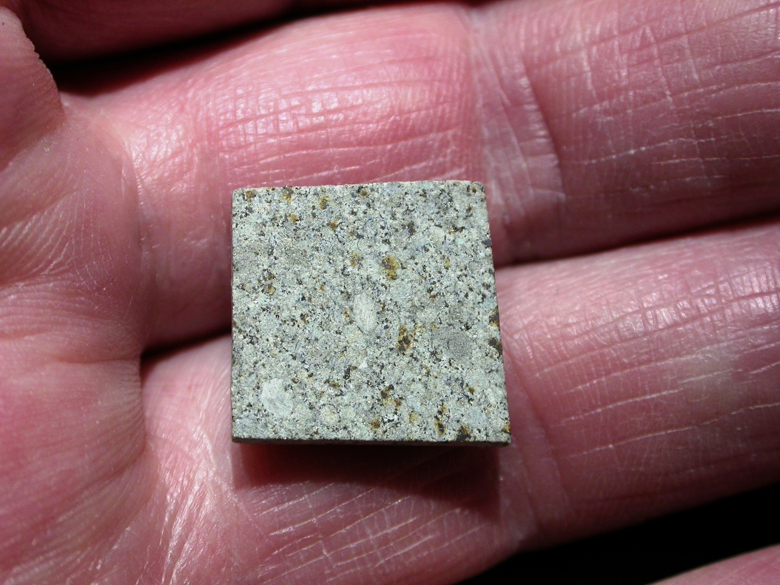 Documento senza titolo